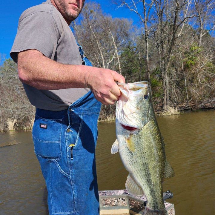 Profile Picture of Curt Marsh (@curtmarsh) on Tiktok