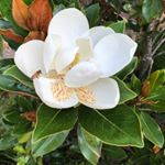 Profile Picture of Cheryl Wade (@cherylwade_) on Instagram