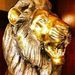 Profile Picture of Jonathan Richard (@jonathanhauer0840) on Pinterest