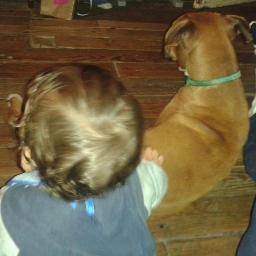 Profile Picture of Brian Dufrechou (@carbo_dufre) on Twitter