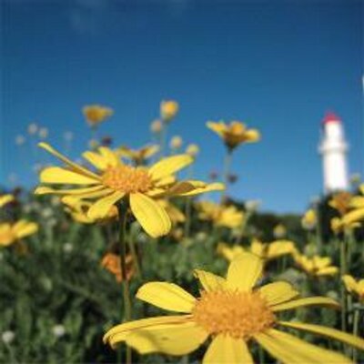 Profile Picture of Roland Schmidt (@rodeland1974) on Twitter