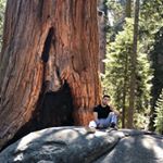 Profile Picture of Simon Longoria (@thedrawing_dude) on Instagram