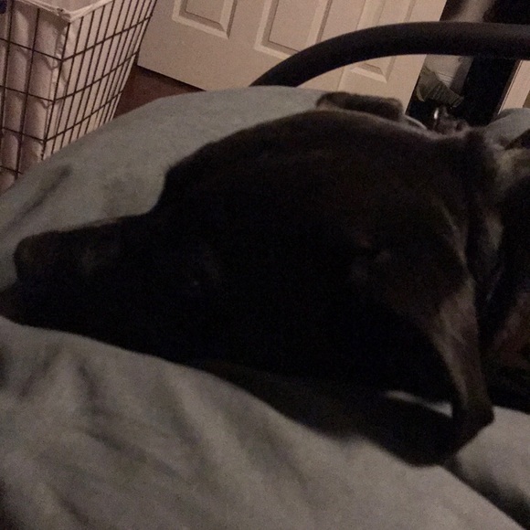 Profile Picture of Brian Goodwin (@goody89223) on Poshmark