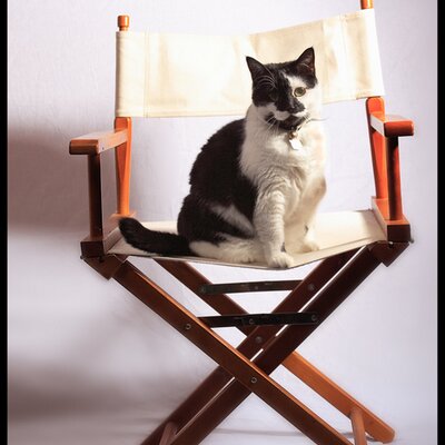 Profile Picture of Dave Pagett (@Ed_I_Tackle) on Twitter