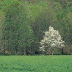 Profile Picture of Croxen (@candisthomasot) on Instagram