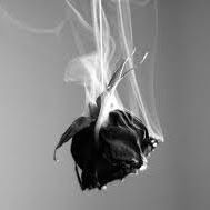 Profile Picture of CENIA MOREIRA-PERAZA (@ceniamoreiraperaza) on Pinterest