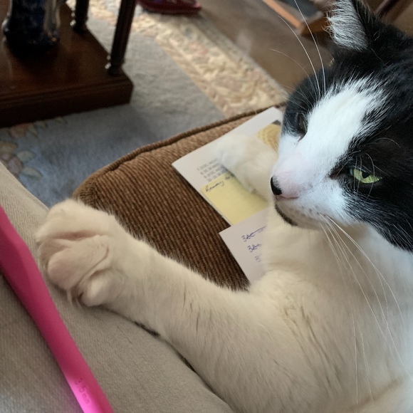 Profile Picture of Dawn Lauzon (@dawncrochet) on Poshmark