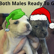 Profile Picture of Richard Cunningham (@MrWallstreet12) on Youtube