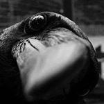 Profile Picture of Smart Rick (@smart_rick) on Instagram