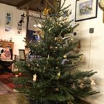 Profile Picture of michael komander (@michael_komander) on Instagram