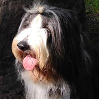 Profile Picture of Judi Carlton (@judi-carlton-2) on Quora