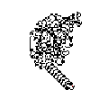Profile Picture of Langton's anton Wikipedia
