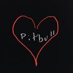 Profile Picture of Andi Cook (@cook_andi) on Instagram