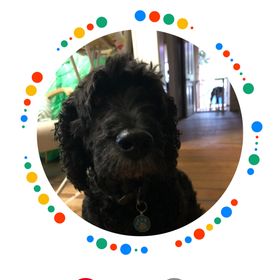 Profile Picture of Amanda Molinaro (@amanda_molinaro) on Pinterest