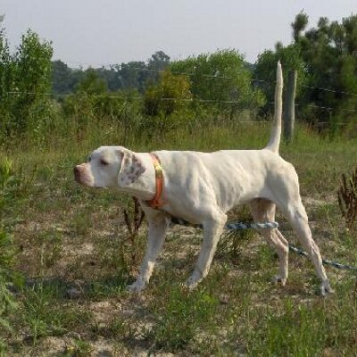 Profile Picture of Gary Ansell (@godfree43) on Twitter