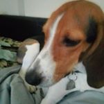 Profile Picture of Alex S Brigham (@alexbossmanmucha) on Instagram