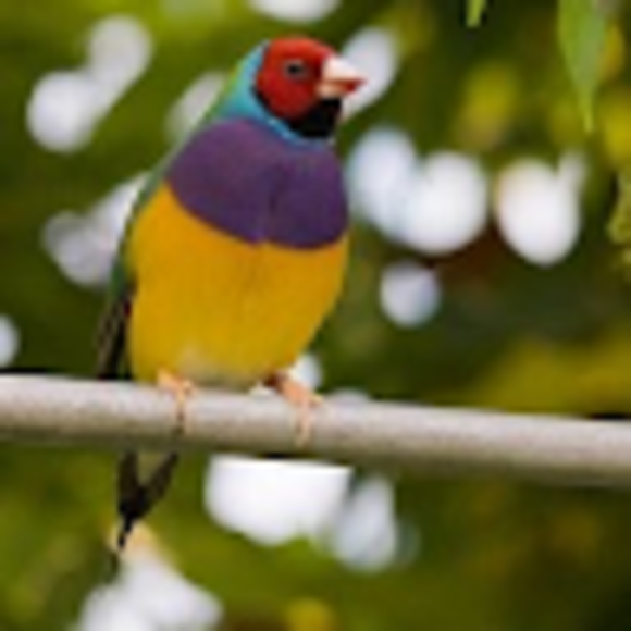 Profile Picture of Marianne Sanders (@mariannesand451) on Poshmark