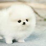 Profile Picture of Cino Joseph (@joseph_cino) on Instagram