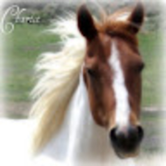 Profile Picture of Lenora Burkdoll (@lenoraburkdoll) on Poshmark