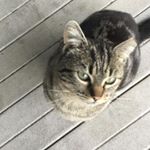 Profile Picture of nathan zinnerman (@nathanzinnerman) on Instagram