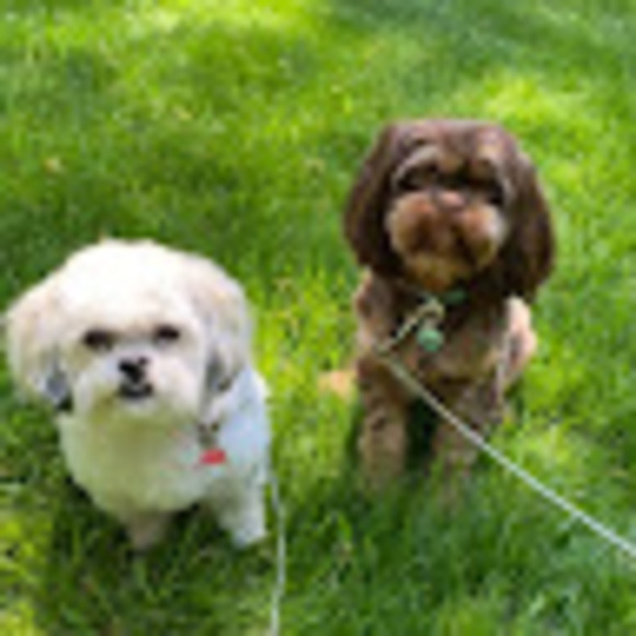 Profile Picture of Leila Macera (@lmacera1101) on Poshmark