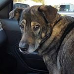 Profile Picture of Jake Bettis (@fusionhighdef) on Instagram