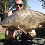 Profile Picture of Robin Foreman (@roblevel2) on Instagram