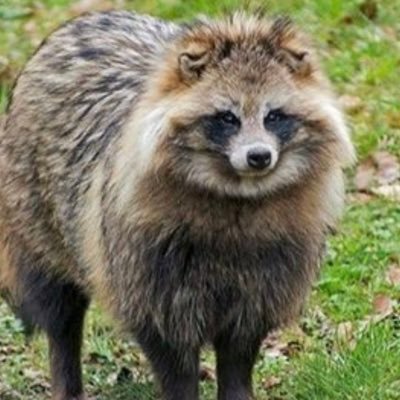 Profile Picture of Chase Couch (@ChaseCouch6) on Twitter