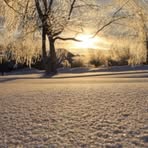 Profile Picture of Roxy Hayes (@Roxy-Hayes) on Facebook