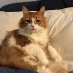 Profile Picture of Nancy Goward (@Nancy-Goward) on Facebook