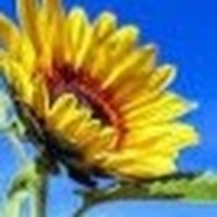 Profile Picture of Mikayla Carson (@mikayla-carson-2) on Quora