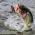 Profile Picture of Nicholas Georges (@kentuckyfamilyfishin) on Instagram