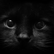 Jeppson 2K (Jeppson2K) - Youtube Profile Picture of Jeppson 2K (Jeppson2K) (@yougotbackstabbed) on Youtube