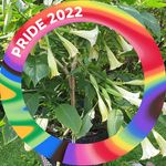 Profile Picture of Mirja Salonen (@mirjasylvia) on Instagram