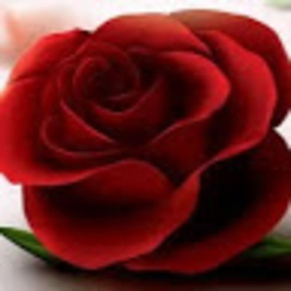 Profile Picture of Marilyn Neugebauer (@maryrose521) on Poshmark