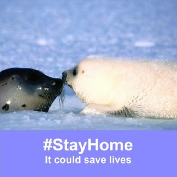 Profile Picture of Amanda Brillhart (@amanda0812) on Poshmark