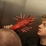 Profile Picture of Larry_HNX (@larry_der_hummer) on Instagram