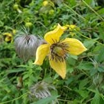 Jolene - Instagram Profile Picture of Jolene (@jolenedowling6x) on Instagram