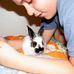 Profile Picture of Alla Kimelblat (@Alla-Kimelblat) on Facebook