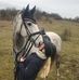 Profile Picture of Anja Hansen (@anja.hansen.712714) on Facebook