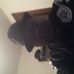 Profile Picture of Andrew Stubbs (@andrew.stubbs.313) on Facebook