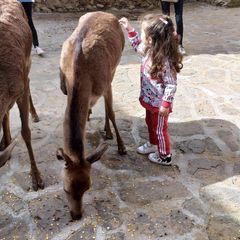 Profile Picture of Yolanda Pastor Allue (@yolanda.pastor.al) on Tiktok