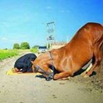 Profile Picture of Ahmed Seedat (@seedat.ahmed) on Instagram