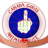 Profile Picture of Dominique Ramsey (@dominique-ramsey-3) on Quora