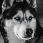 Profile Picture of Corinne Masterson (@corinneb21) on Instagram