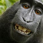 William Nishimura - Instagram Profile Picture of William Nishimura (@william.nishimura) on Instagram