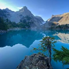 Profile Picture of michaelzampino8 (@michaelzampino8) on Tiktok