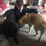 Alfonso Hall - Instagram Profile Picture of Alfonso Hall (@alfonso36825) on Instagram