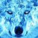 Profile Picture of Lucas Downing (@28ldowning) on Pinterest
