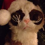 Profile Picture of Kelly Coyle (@kellycoyle2004) on Instagram